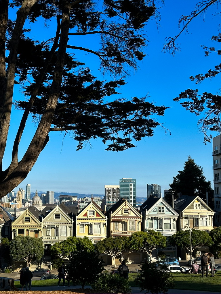 Painted Ladies