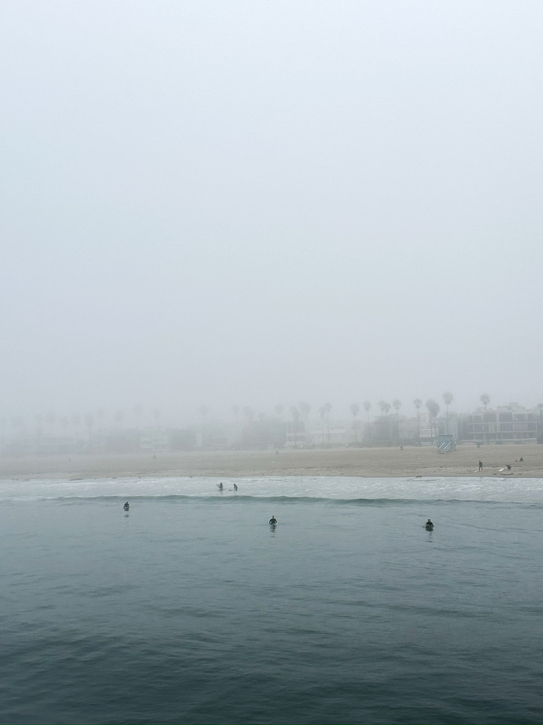 Venice Beach
